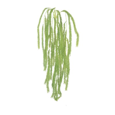Ветка зелени водоросль свисающий искусственный