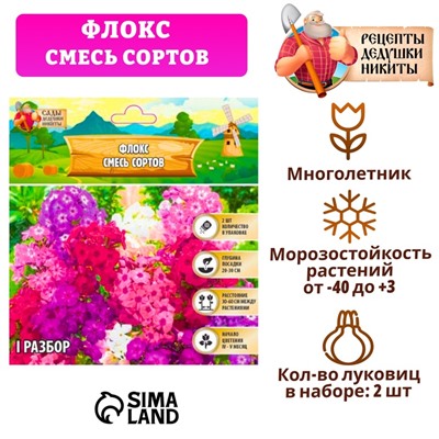 Флокс смесь сортов I, 2 шт,