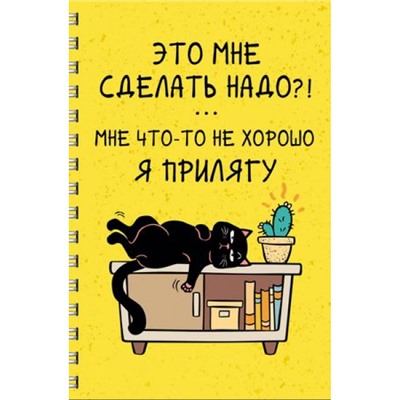 Тетрадь А4 60л клетка пластиковая обложка на спирали "День кота (Эксклюзив)" ТПС4605207 Эксмо