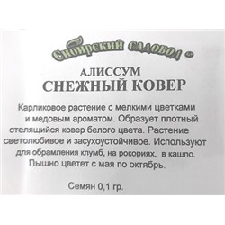 Алиссум  Снежный ковер ч/б (Код: 91914)