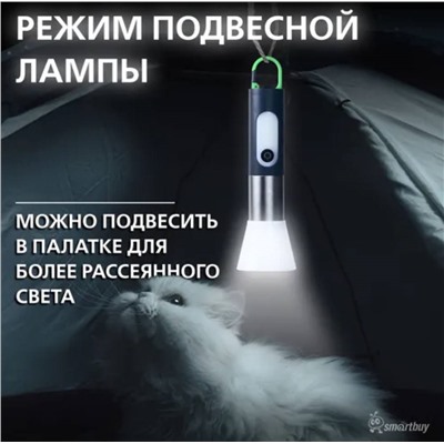 Фонарик-ночник аккумуляторный, сменный фокус, USB( 3 расцветки)