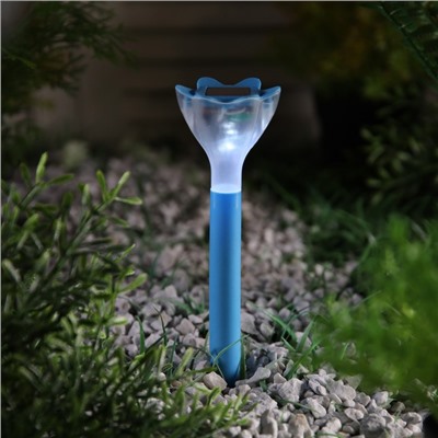 Садовый светильник на солнечной батарее «Цветок голубой», 6 × 29 × 6 см, 1 LED, свечение белое
