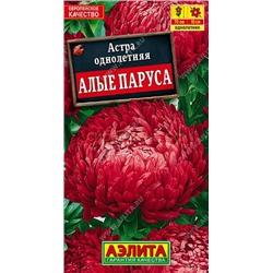 Астра Алые паруса (Аэлита)