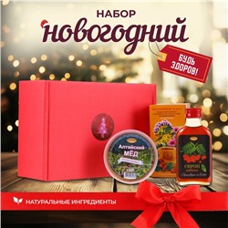 Новый год. Новогодний набор для поддержания иммунитета "Будь здоров!"