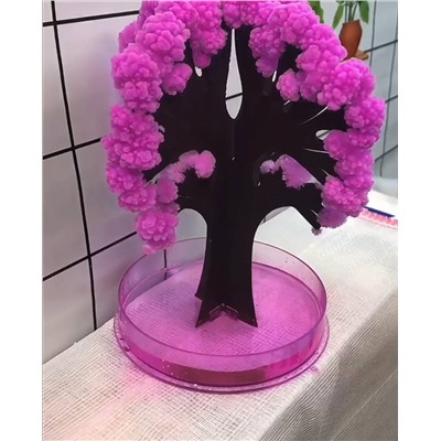 Волшебное растущее дерево Сакура  🌸 Эксперименты для детей