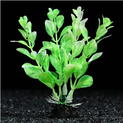 Растение искусственное аквариумное, 10 см, зелёно-белое