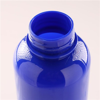 Бутылка для воды 650 мл, с карабином, 7 х 22 см, синяя