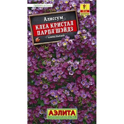 Алиссум Клеа кристал парпл шэйдз (Аэлита)