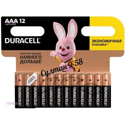 Батарейки Duracell 1731095-1