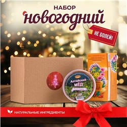 Новый год. Новогодний набор для поддержания иммунитета "Не болей!"