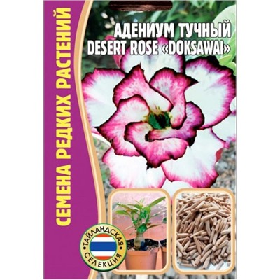 Адениум Desert Rose Doksawai - Десерт Роз Доксавай (Редкие)