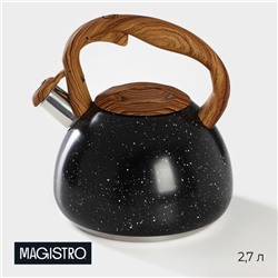 Чайник со свистком из нержавеющей стали Magistro Stone, 2,7 л, ручка soft-touch, индукция, цвет чёрный