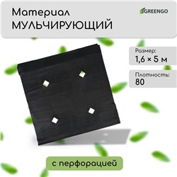 Материал мульчирующий, с перфорацией, 5 × 1,6 м, плотность 80 г/м², спанбонд с УФ-стабилизатором, чёрный, Greengo, Эконом 20%