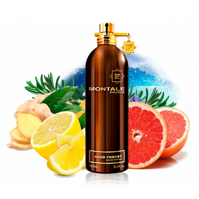 Парфюмерная вода Montale Aoud Forest унисекс