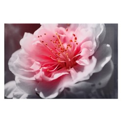 Картина на холсте "Нежный цветок" 40*60 см