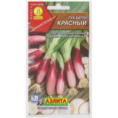 Лук Батун Красный  (Код: 6528)