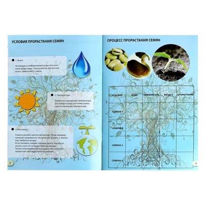 Набор для опытов «Наука о растениях», 16 опытов