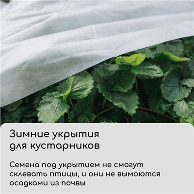 Материал укрывной, 5 × 3,2 м, плотность 60 г/м², спанбонд с УФ-стабилизатором, белый, Greengo, Эконом 20 %