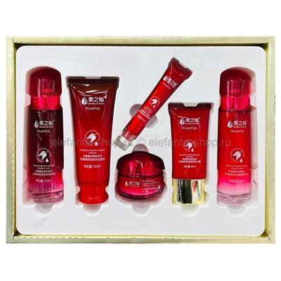 Набор для ухода за кожей лица Rosehip Moisturizing Gift Set 6in1 (78)