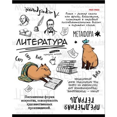 Тетрадь 48л "КАПИБАРА" по литературе 48-0003 Проф-Пресс