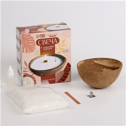 Набор для создания свечи в кокосовой скорлупе "Манго"