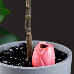 Ороситель почвы для домашних цветов и сада "Тюльпан" Кунгурская керамика, 30мл, 5см, розовый