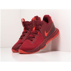 Кроссовки Nike Lebron Witness V