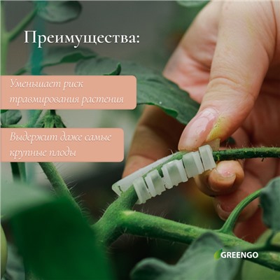 Кистедержатель «Улитка», 3,5 см, набор 50 шт., Greengo