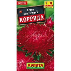 Астра Коррида коготковая (Аэлита)