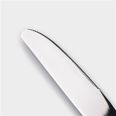 Нож столовый из нержавеющей стали Magistro «Виконт», длина 24 см, цвет серебряный