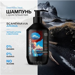 Шампунь для волос TRAVEL SCANDINAVIA AROMA, 600 мл