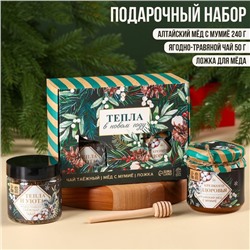 Подарочный набор «Тепла в новом году»: алтайский мёд с мумиё 240 г., ягодно-травяной чай 50 г., ложка для мёда