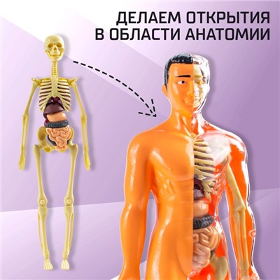 Научный опыт «Строение тела», уценка (мятая упаковка)
