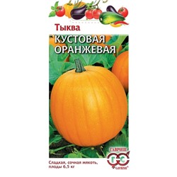 Тыква Кустовая оранжевая (Гавр)