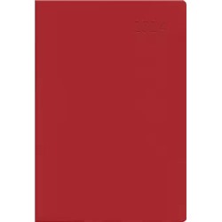 Ежедневник датированный на 2024 год Paragraph. Красный, 176 листов, А5
