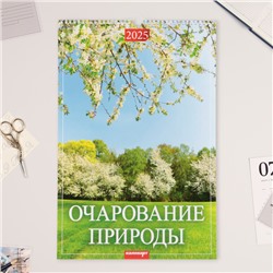 Календарь перекидной на ригеле А3 "Очарование природы" 2025, 32 х 48 см