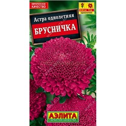 Астра Брусничка (Аэлита)