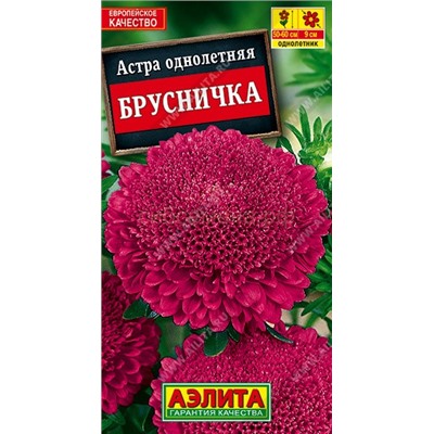 Астра Брусничка (Аэлита)