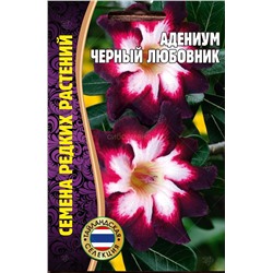 Адениум Черный любовник (Редкие)