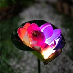 Садовый светильник на солнечной батарее «Лотос», 70 см, 1 LED, свечение мульти (RGB)