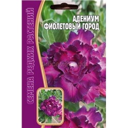 Адениум Фиолетовый город (Редкие)