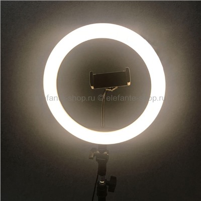 Светодиодная кольцевая лампа Ring Fill Light + ШТАТИВ, 2 В 1, 28779