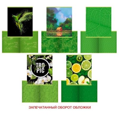 Тетрадь  48л клетка "Green mix" ТК488535 Эксмо