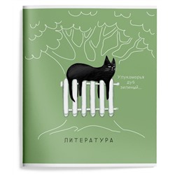 Тетрадь 48 л.линия,Литература ,ПУШИСТЫЕ БУДНИ мел. карт. твин-лак