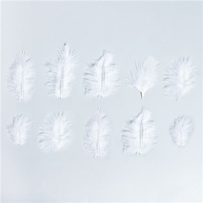 Набор перьев для декора 10 шт., размер 1 шт: 10 × 2 см, цвет белый