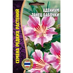 Адениум Танец бабочки (Редкие)