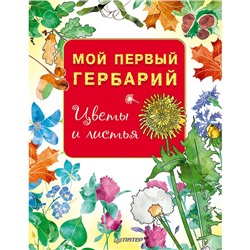 Цветы и листья. Мой первый гербарий