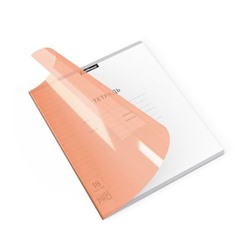 Тетрадь  18л линия с пластиковой обложкой 56369 Классика CoverPrо Neon оранжевая ErichKrause