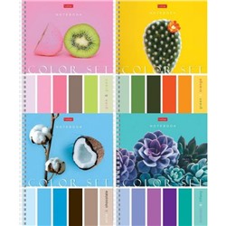 Тетрадь  80л клетка "Color Set" (075645) Хатбер