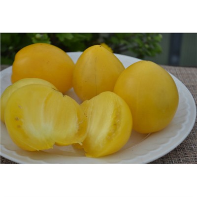 Частный питомник растений Наш сад, Семена помидоров Гном Лимонное мороженное (Dwarf Lemon Ice)